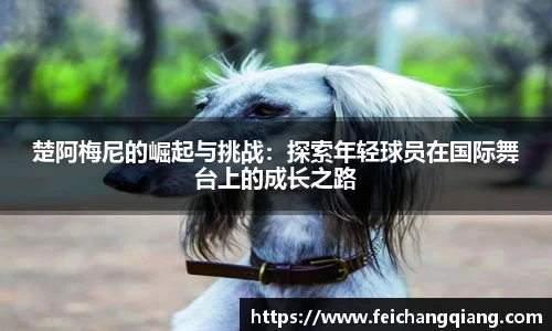 楚阿梅尼的崛起与挑战：探索年轻球员在国际舞台上的成长之路